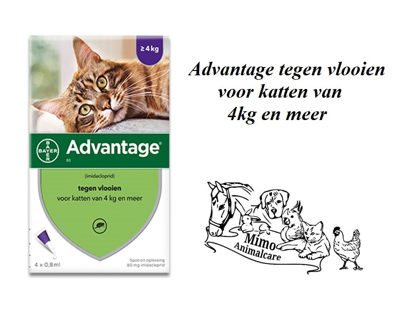 Advantage Kat > 4kg 4 Pipetten - Ontworming-Vlooien-Teken www.mimo-animalecare.nl